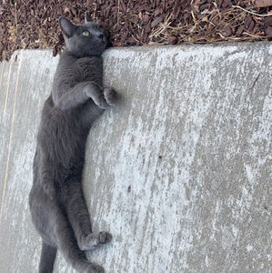 Meet your Posher, Beautiful